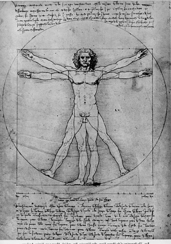 Leonardo da Vinci - l-homme vitruvien.jpg
